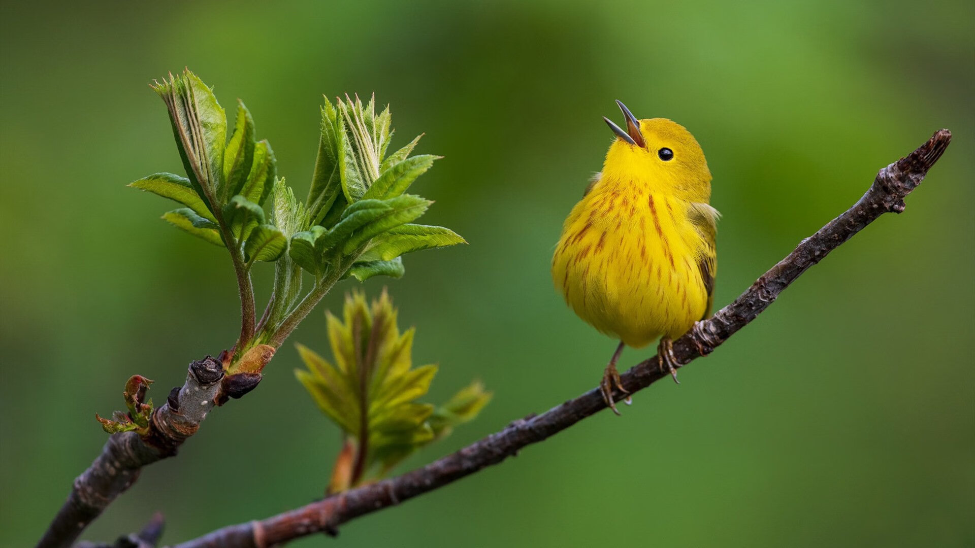 球队后防高位站位策略是否增加越位风险，后防最好的球队