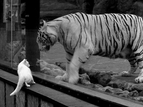 足球俱乐部青训发展持续推进，足球俱乐部青训发展持续推进的措施