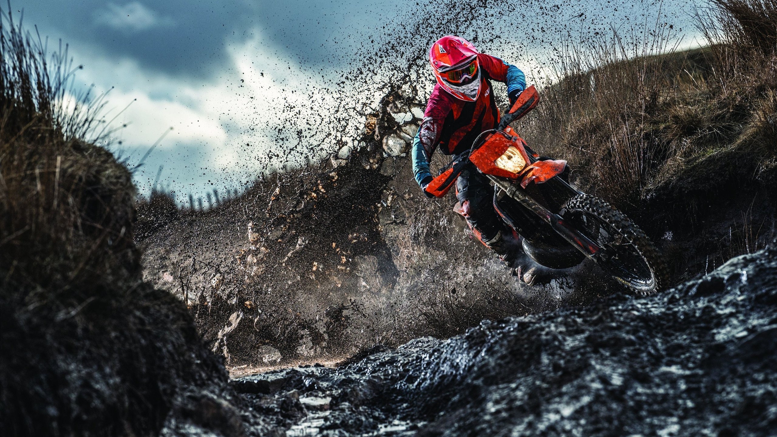 开云-“华金·托比利亚的全能防守与快速突破，成就美洲狮队的防守核心”